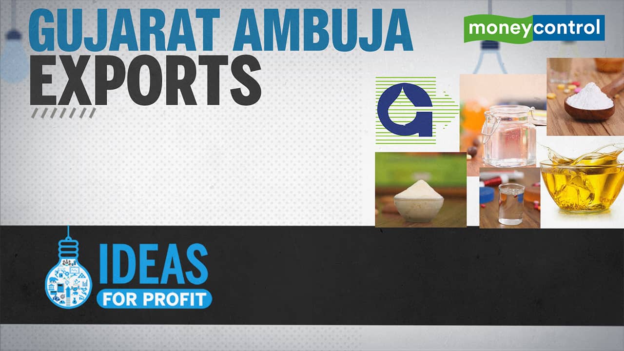 Gujarat Ambuja Exports: Earnings momentum to continue