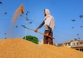 Cabinet approves scheme to boost foodgrain storage capacity