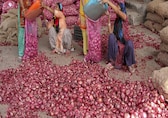 Govt’s subsidised onion sale lowers prices in major cities; expands distribution efforts