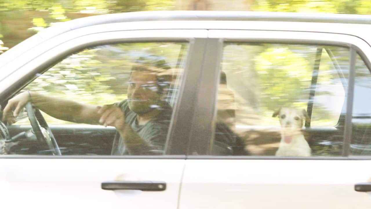 Rahul Gandhi takes pet dog Pidi for a drive; photo goes viral Rahul Gandhi takes pet dog Pidi for a drive; photo goes viral