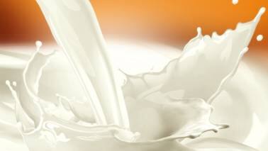 Buoyant demand, inadequate supply to push milk prices higher