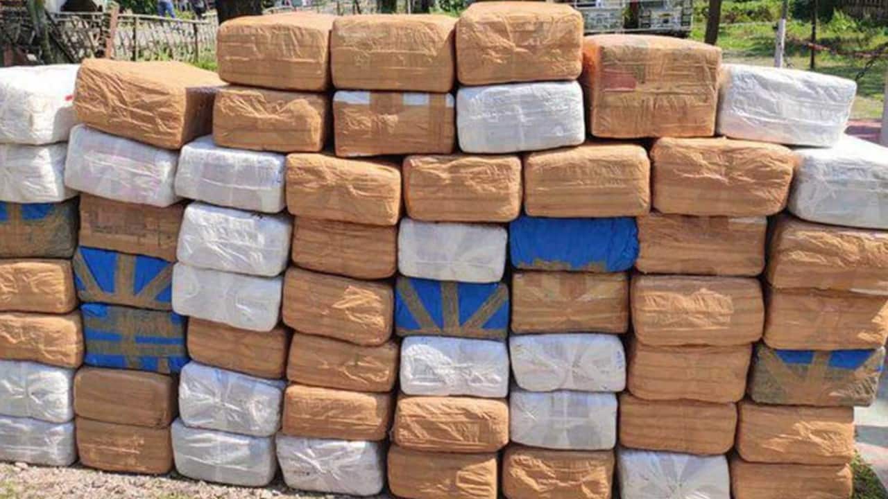 Anyone lost a huge amount of 'ganja'? Assam Police found it Anyone lost a huge amount of 'ganja'? Assam Police found it