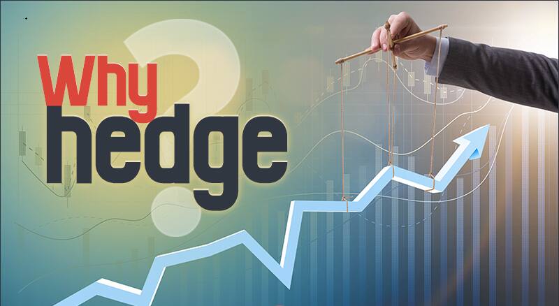 Why Hedge ?