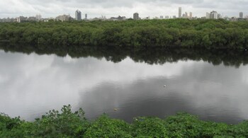 A scam related to the project has been unearthed, in which Dino Morea, a Bollywood personality, is being investigated. The case has also taken a political turn.