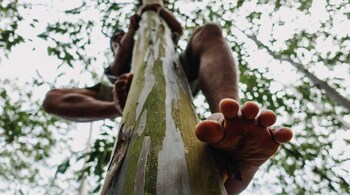 Image for representation (Pixabay)