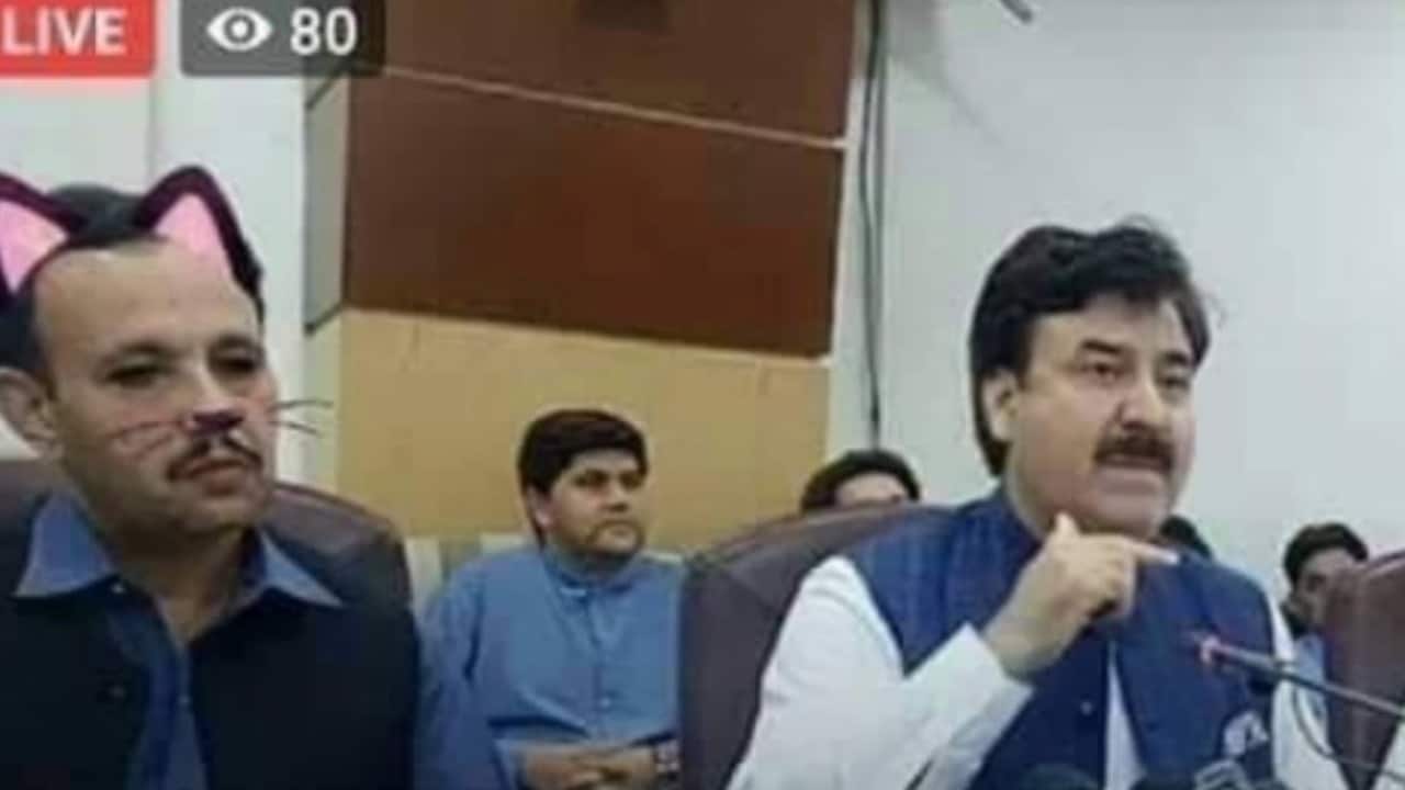 'Cat filter' used in Pakistan ministers' live media address, photos go viral 'Cat filter' used in Pakistan ministers' live media address, photos go viral