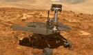 Blueberries, rabbit and a 'human': Weird discoveries made by NASA’s twin Mars rovers over the years