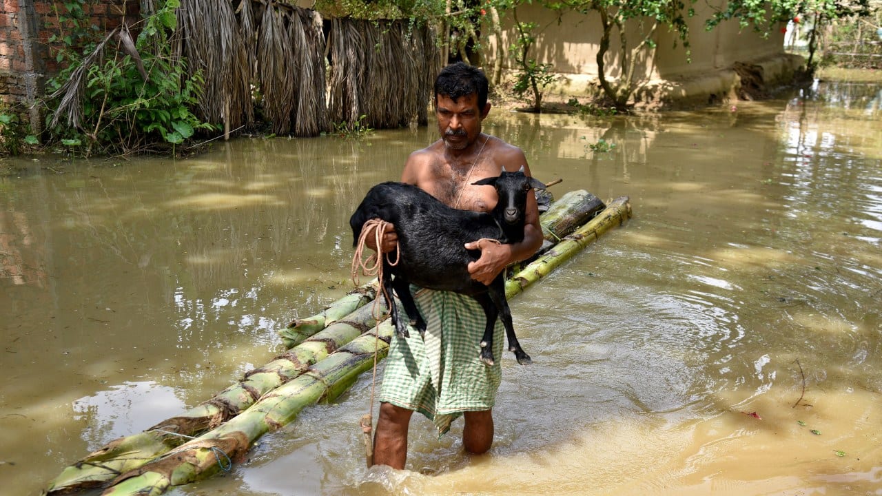  About 70 percent of the Kaziranga National Park, the habitat of the Great Indian Rhino and a world heritage site, has been affected too. &quot;Many animals have moved to highlands. We have a sufficient stock of fodder and forest officials are on alert,&quot; an official told reporters. (Image: Reuters)