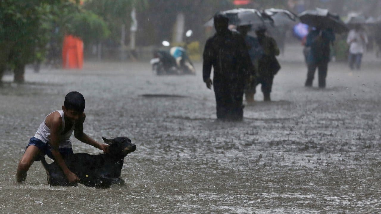 A boy playing with his pet dog in a waterlogged street during monsoon rains in Mumbai. (Image: AP)