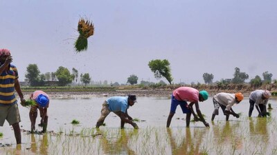 Groundwater crisis needs urgent policy response 