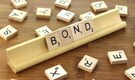 Sovereign bond sale needs special safeguard: Report