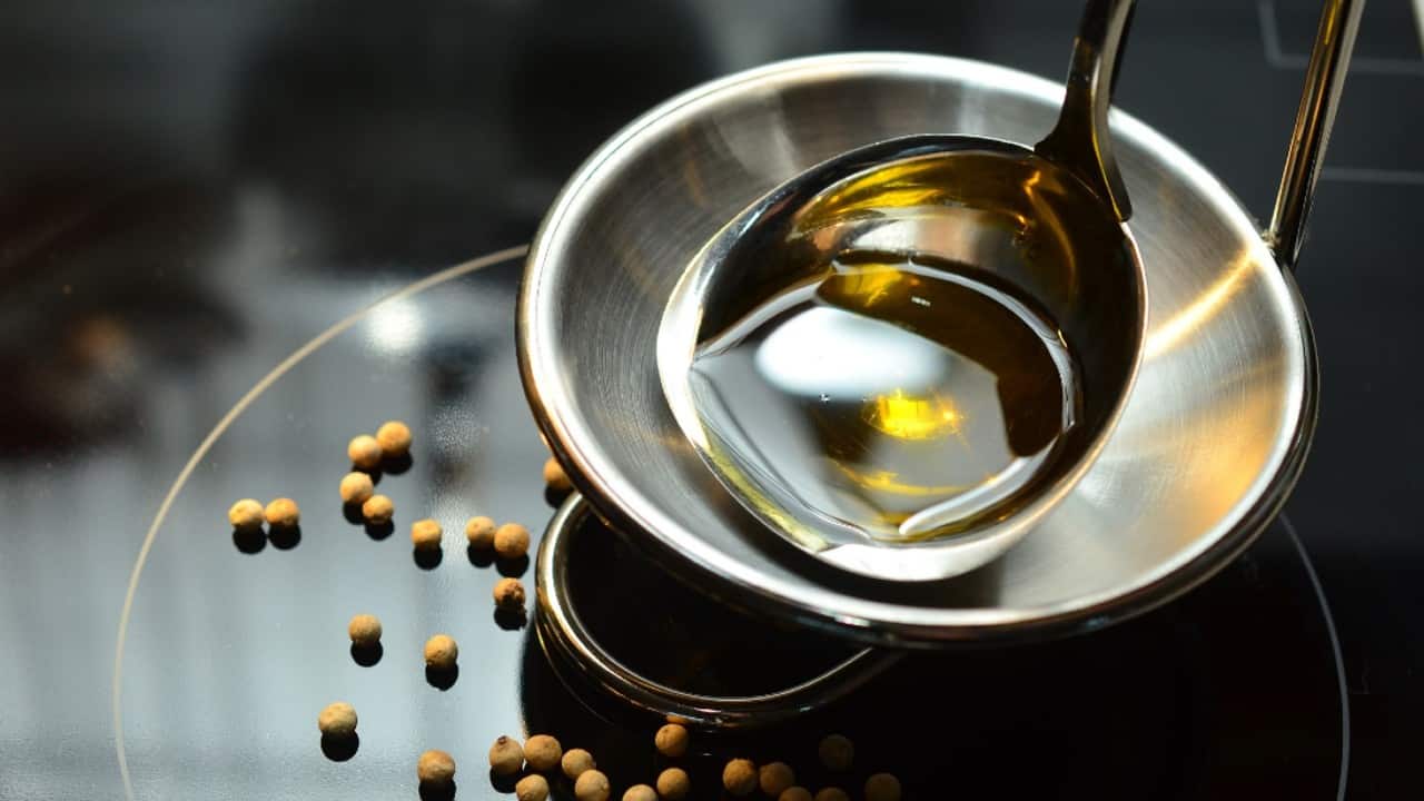 Solvent Extractors body urges govt to reconsider decision to extend de-oiled rice bran exports ban Solvent Extractors body urges govt to reconsider decision to extend de-oiled rice bran exports ban