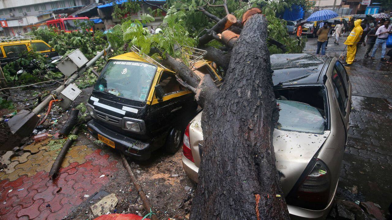 People stand next to cars damaged by a fallen tree after heavy rain in Mumbai. (Image: Reuters)