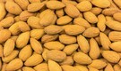 In a first, BSE to launch futures contracts on almonds on June 22