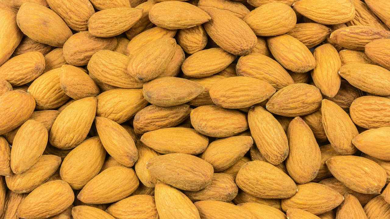 In a first, BSE to launch futures contracts on almonds on June 22 In a first, BSE to launch futures contracts on almonds on June 22