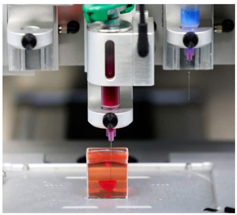 What is being created here? It was demoed by Israeli scientists from Tel Aviv University on April 15, 2019