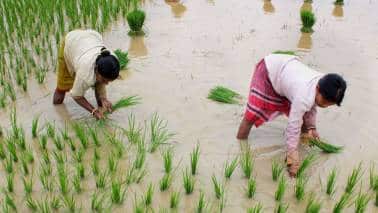 Policy | Has PM-Kisan belied expectations?