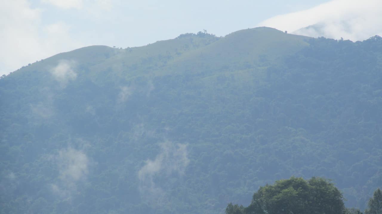 Government urges private vaccine makers to develop vaccine against KFD