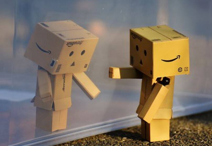 This is Danbo, who for obvious reasons, is thought to be the unofficial Mascot of Amazon in Japan. What does Danbo mean in Japanese? 