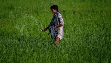 Budget Chart Point | Will Budget 2021 herald a new dawn for the fertiliser sector? Budget Chart Point | Will Budget 2021 herald a new dawn for the fertiliser sector?