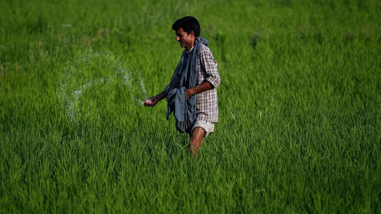 Dharmaj Crop Guard IPO fairly priced with enough levers of growth: Analysts