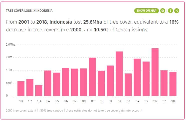 Source: Global Forest Watch
