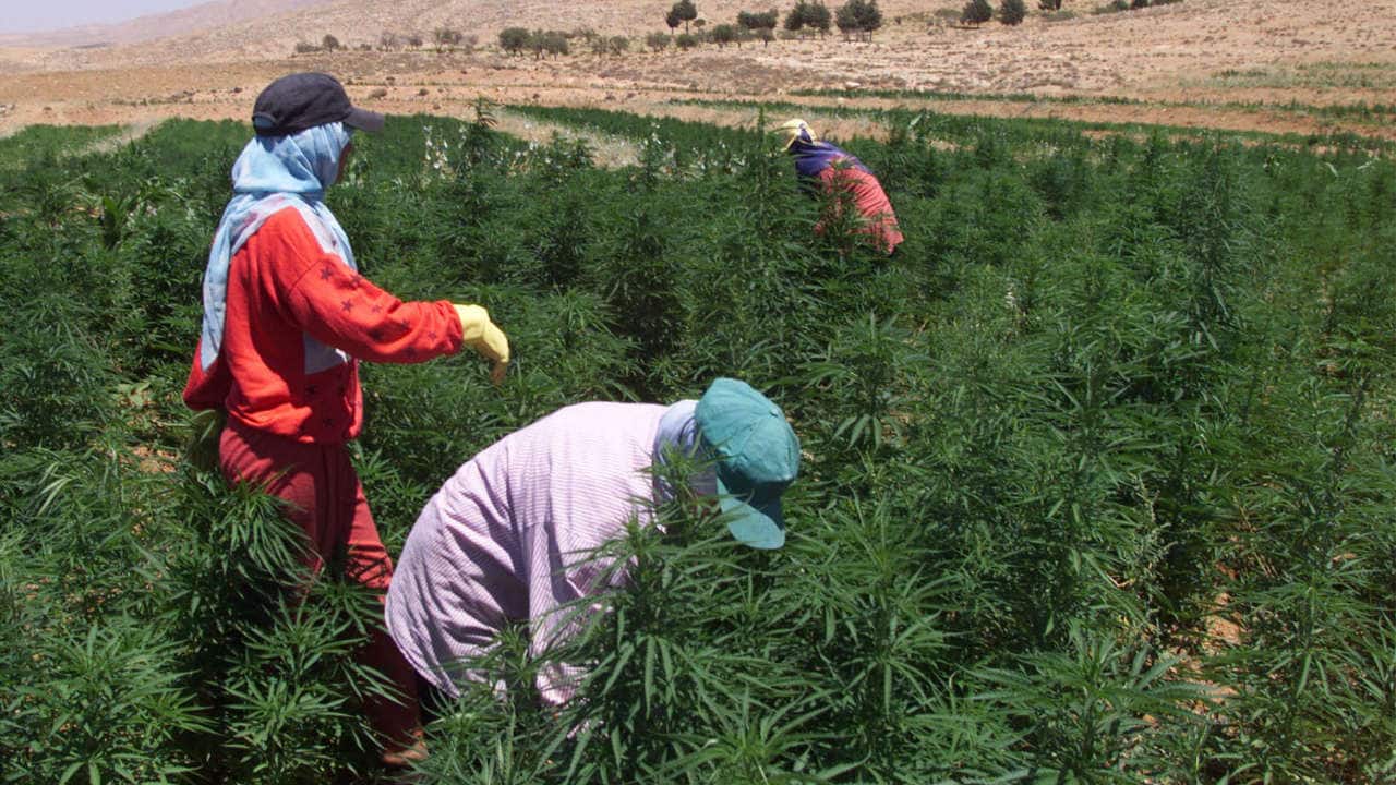 No.5 | Cario, Egypt | Consumption: 32.59 metric tons (Image: Reuters) No.5 | Cario, Egypt | Consumption: 32.59 metric tons (Image: Reuters)