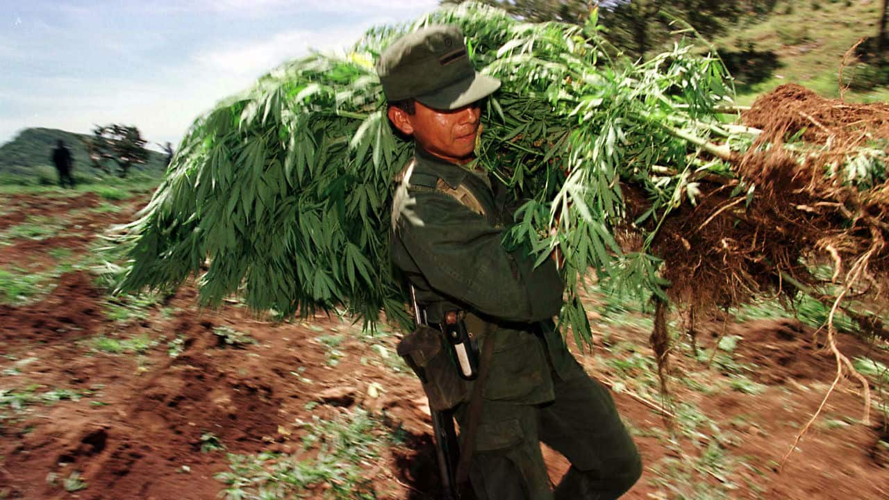 No.2 | Karachi, Pakistan | Consumption: 41.95 (Image: Reuters) No.2 | Karachi, Pakistan | Consumption: 41.95 (Image: Reuters)