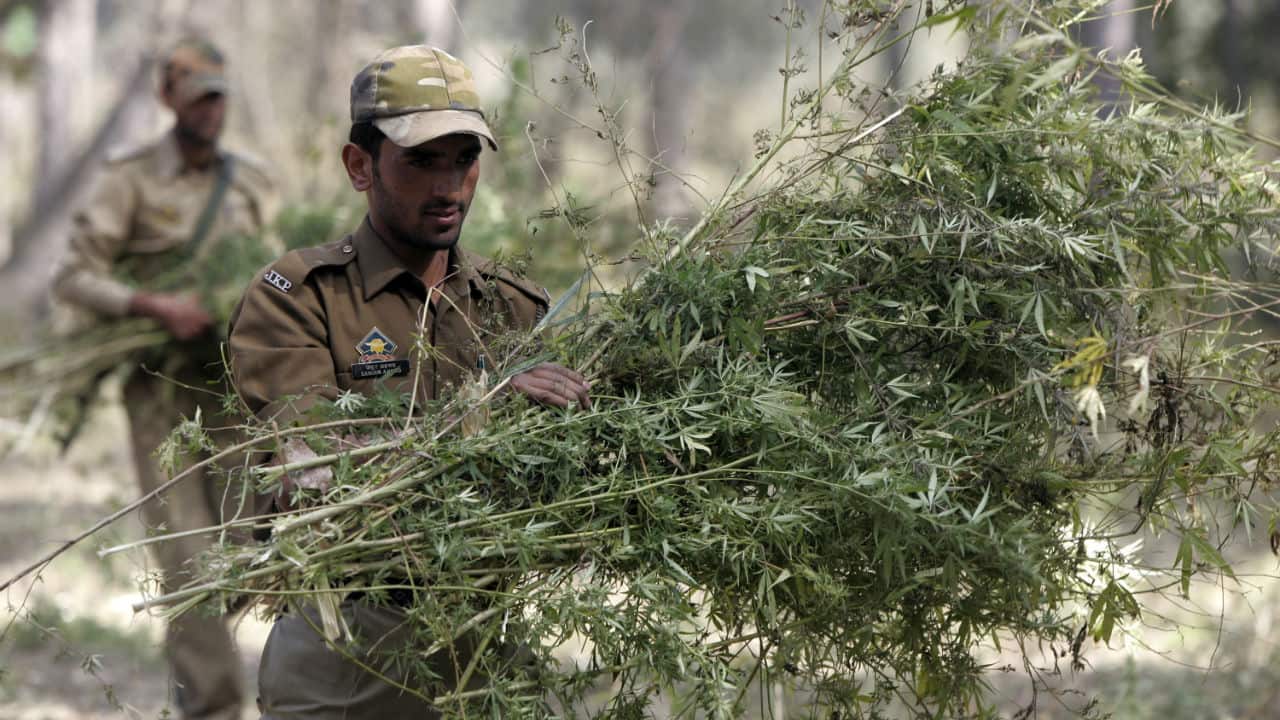 No.6 | Mumbai, India | Consumption: 32.38 metric tons (Image: Reuters) No.6 | Mumbai, India | Consumption: 32.38 metric tons (Image: Reuters)