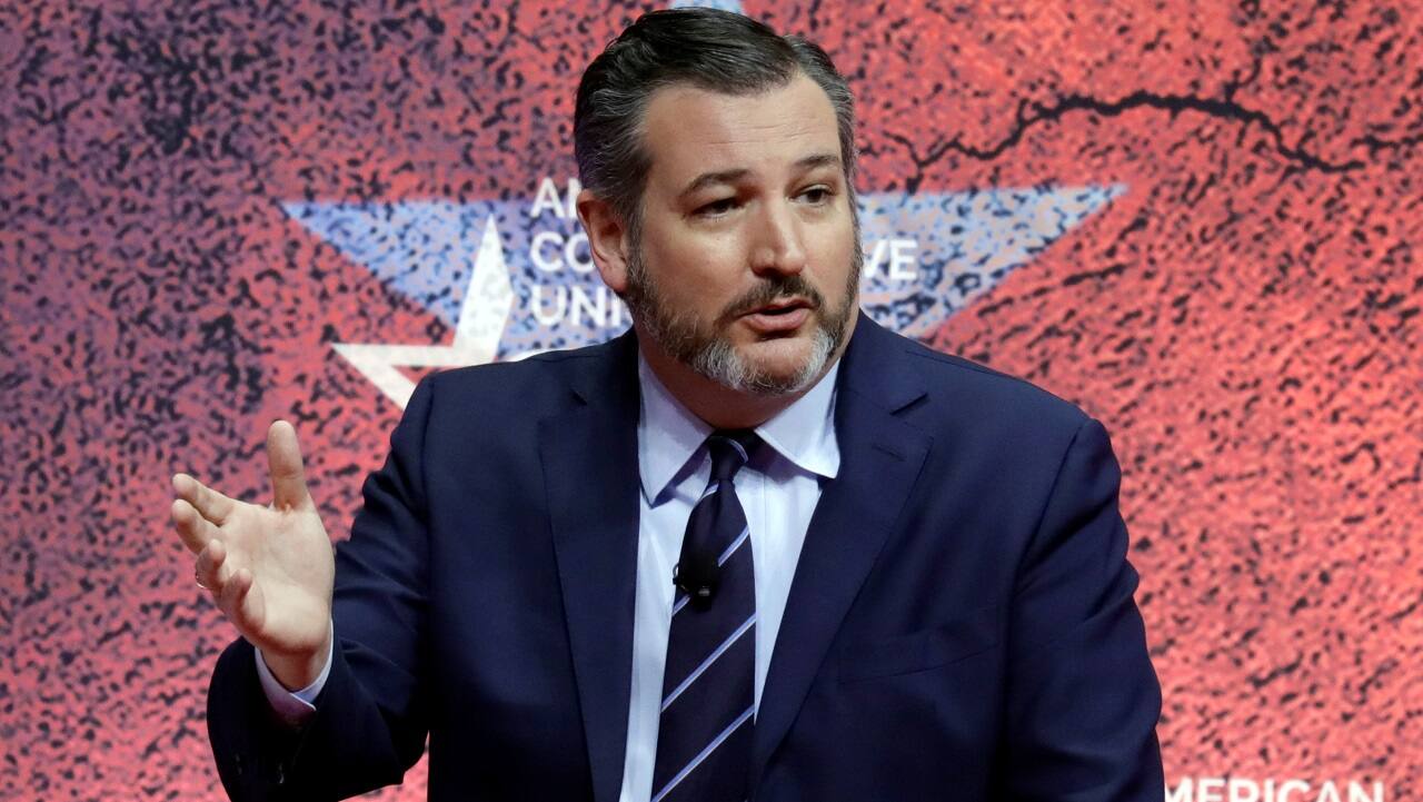 Senator Ted Cruz [R-TX] (Image: Reuters)