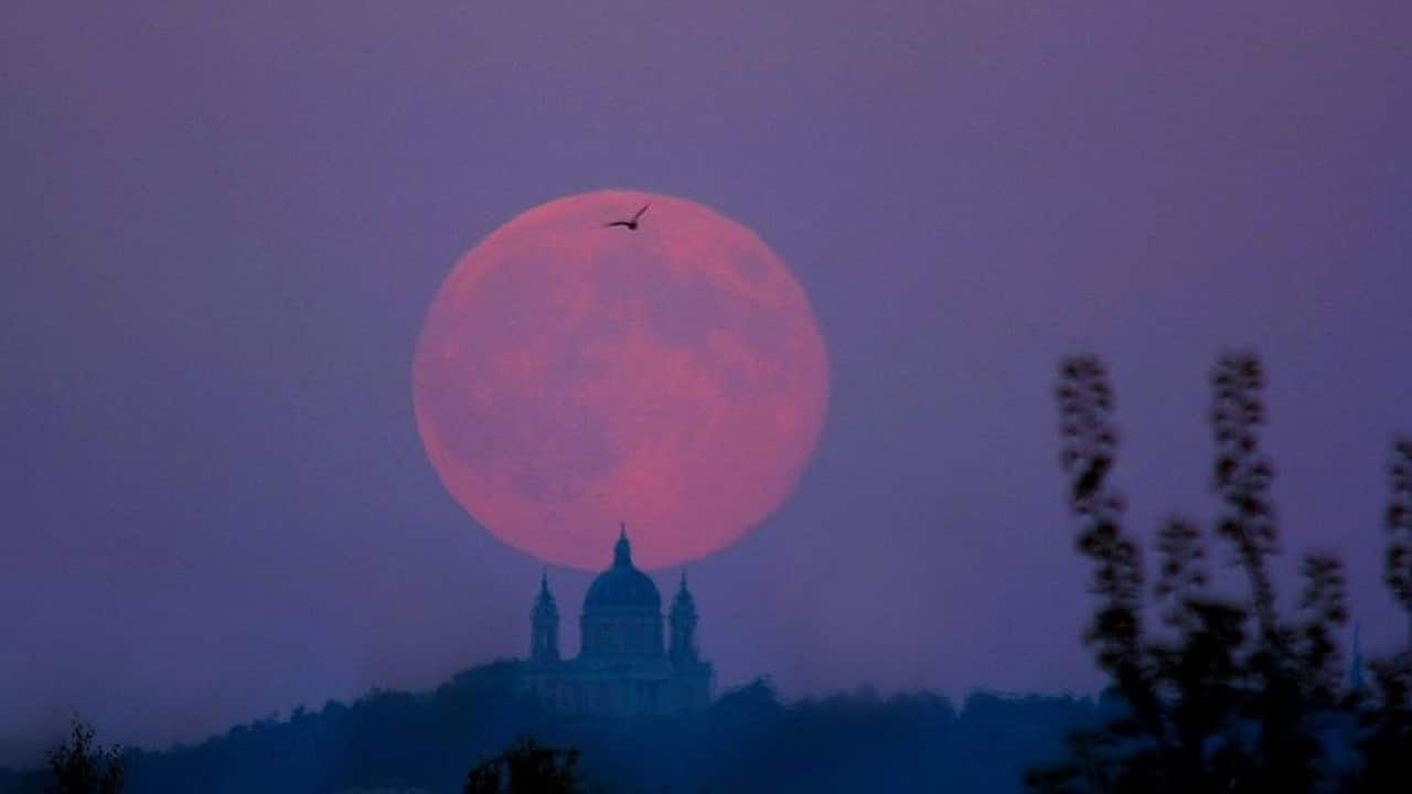Look up! A ‘Hunter’s Moon’ adorns the night sky Look up! A ‘Hunter’s Moon’ adorns the night sky