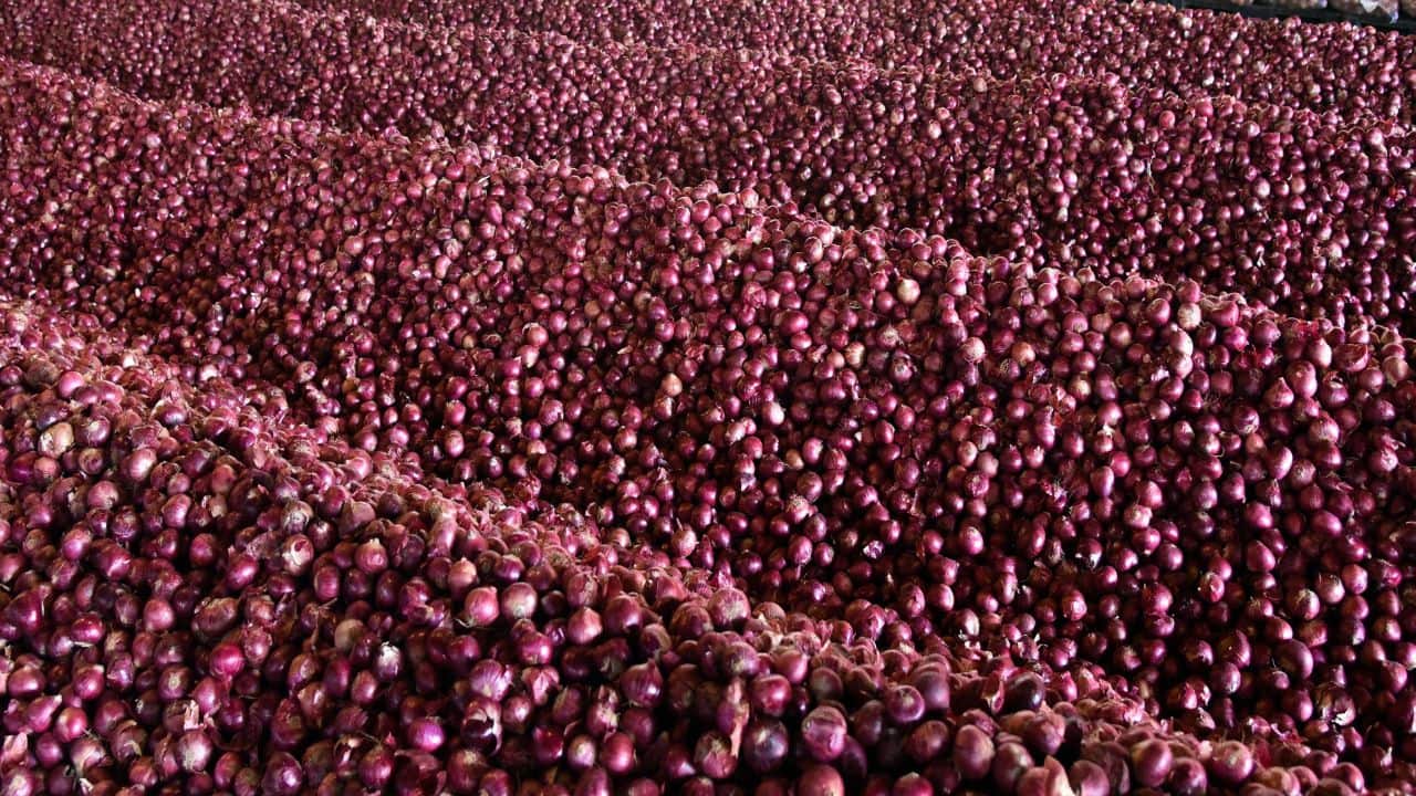 Govt procures 71,000 tonnes of onion for buffer stock, retail prices to ease: Report