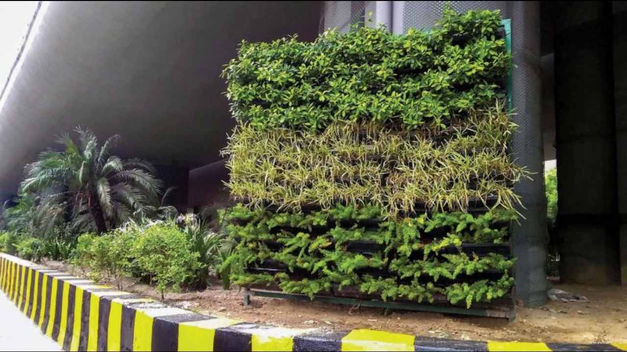 Man steals plant pots from Delhi’s vertical garden, miffs netizens Man steals plant pots from Delhi’s vertical garden, miffs netizens