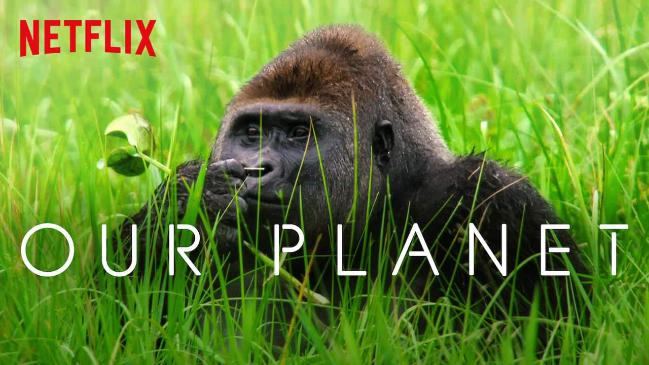 No. 6 | Our Planet | Viewership: 33 million (Image: Netflix.com) No. 6 | Our Planet | Viewership: 33 million (Image: Netflix.com)
