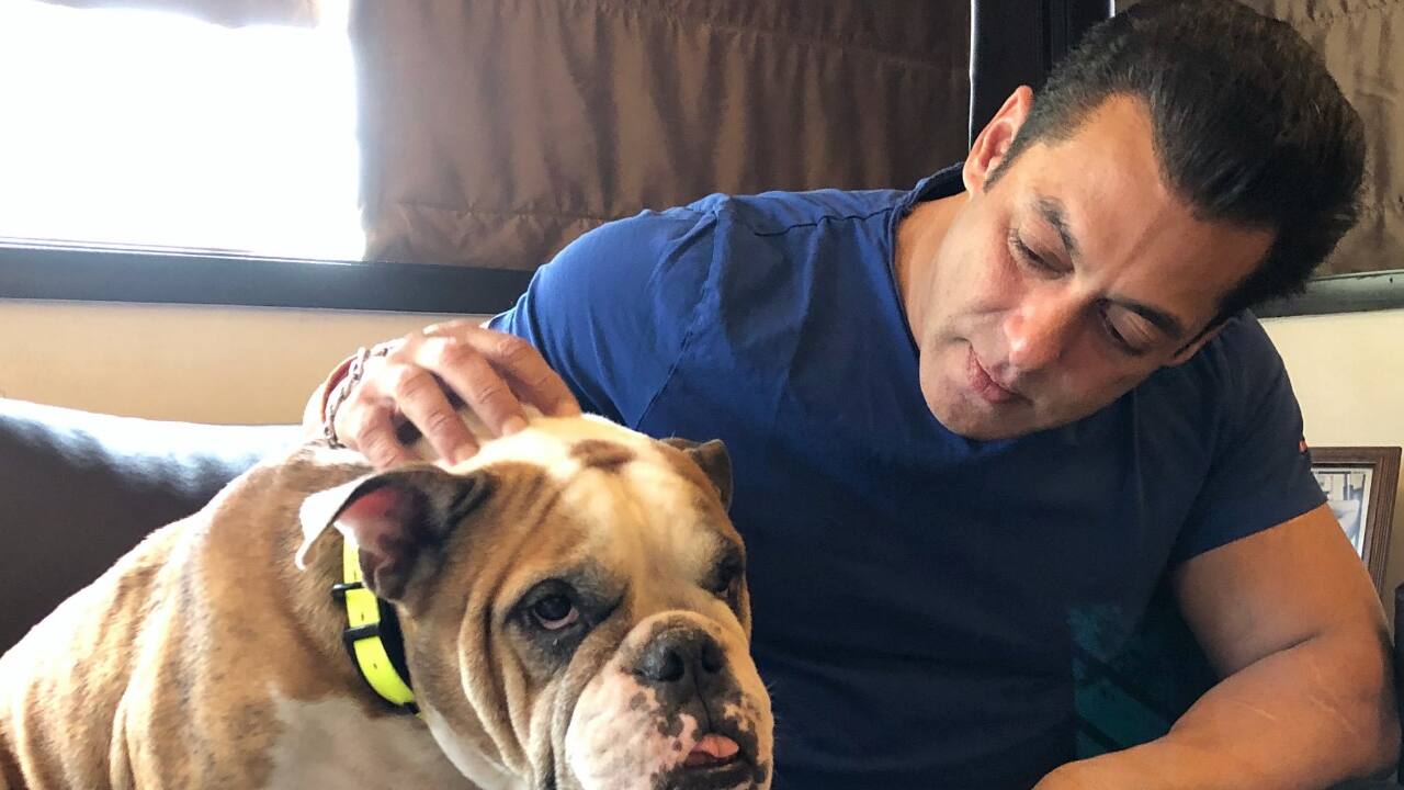 Rank 8 | Salman Khan | Brand value: $45 million. ( Image: @BeingSalmanKhan)