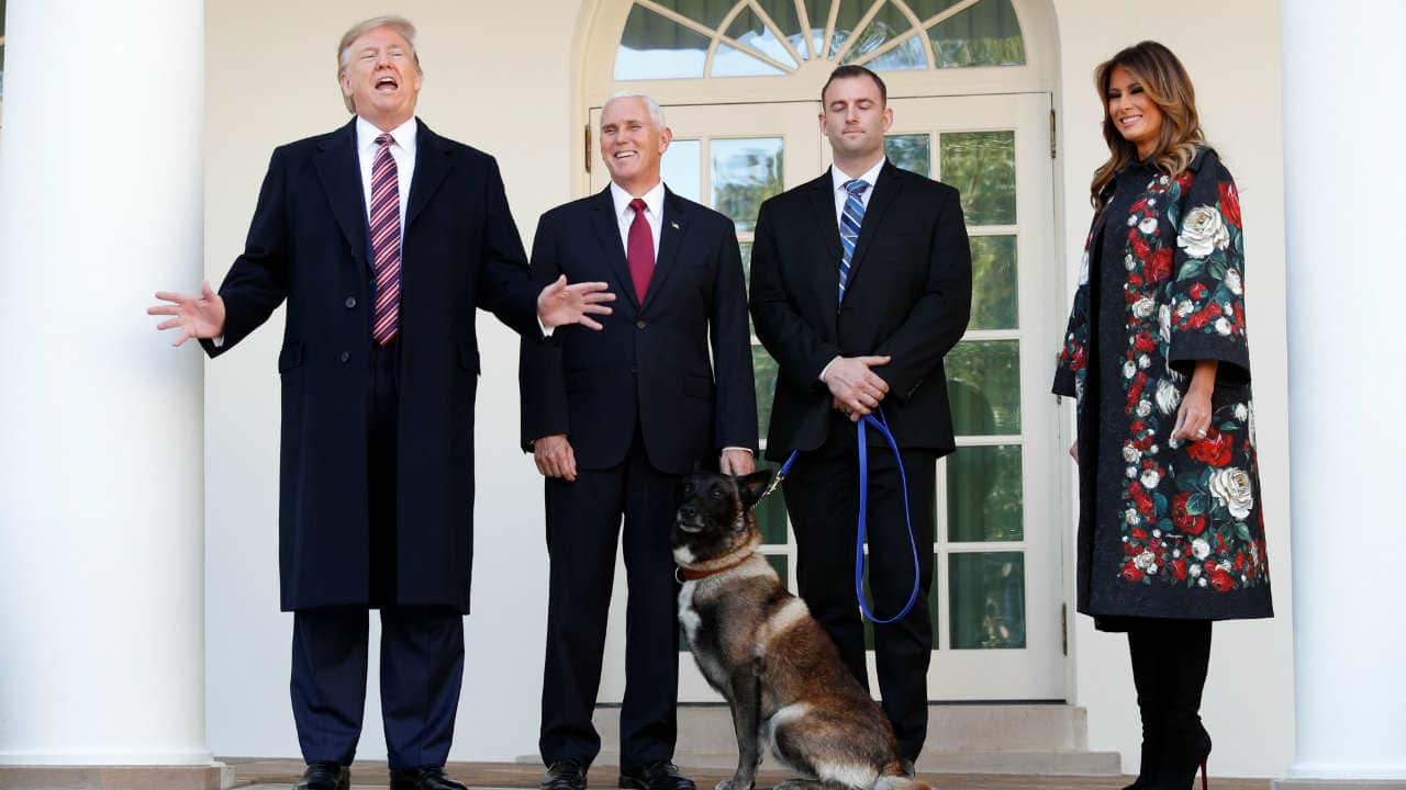 This image is not as great as the story it tells. Notice the canine in the picture? That’s Conan, the US military dog that participated in and was injured in the US raid in Syria that killed ISIS leader Abu Bakr al-Baghdadi. Here, the military dog is accompanied by President Donald Trump, Vice President Mike Pence, first lady Melania Trump and the military handler on the colonnade of the West Wing of the White House in Washington, US on November 25, 2019. (Image: Reuters/Tom Brenner)
