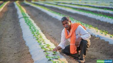 The new farm laws will usher in the structural transformation of Indian agriculture