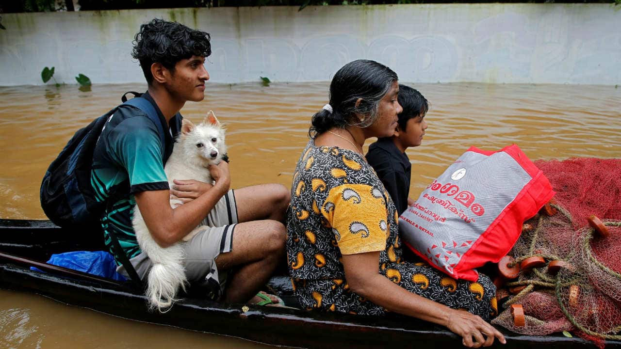 A flood-affected boy carries his dog as he and others are moved to a safer place in Paravur in Ernakulam district of Kerala on August 9, 2019. (Image: Reuters/Sivaram V)
