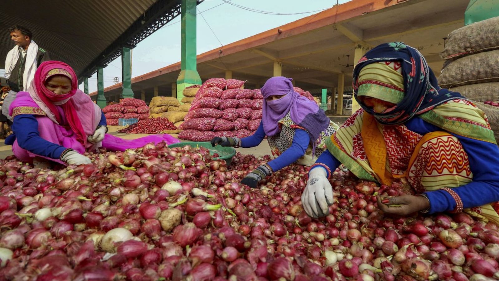 NCCF to sell buffer onion at subsidised rate of Rs 25/kg in Delhi from  August 21