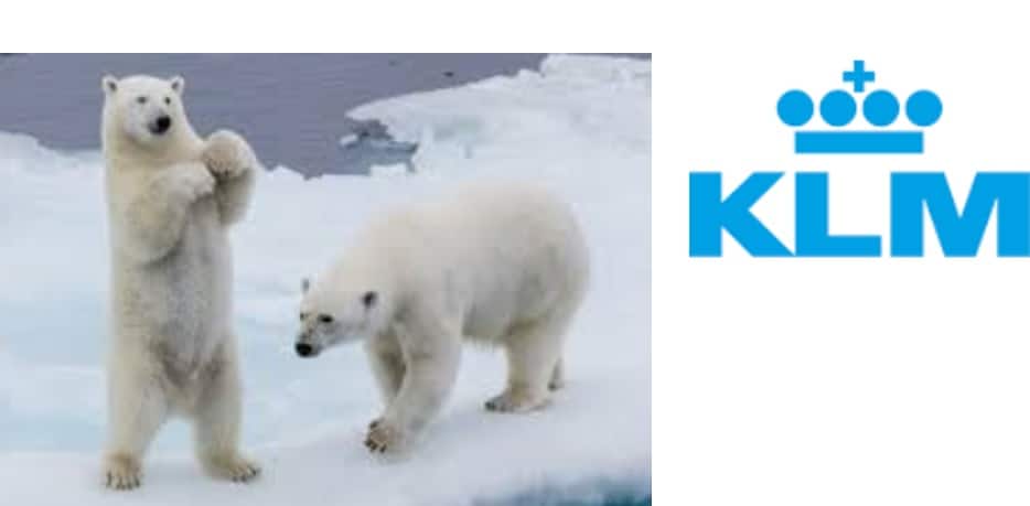 Answer: KLM used this in their Transpolar flights as a part of their Arctic survival kit, specifically if the need arises that they need to kill a polar bear in case of a forced landing.