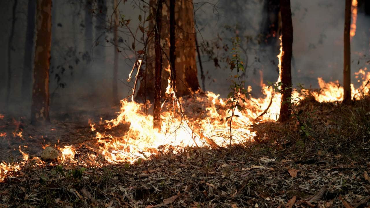 Australia bushfire 5