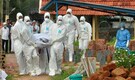 61 test negative for Nipah so far: Kerala Health Minister Veena George