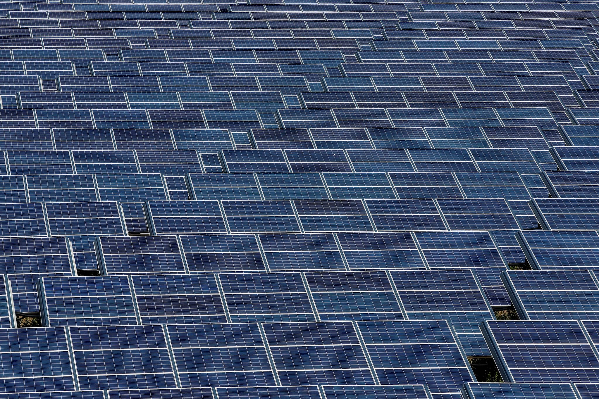 CleanMax earmarks Rs 4,000 crore capex in FY26 for adding 1GW capacity CleanMax earmarks Rs 4,000 crore capex in FY26 for adding 1GW capacity