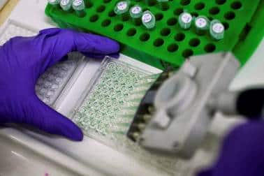 British scientists discover 'all-cancer cure' by accident British scientists discover 'all-cancer cure' by accident