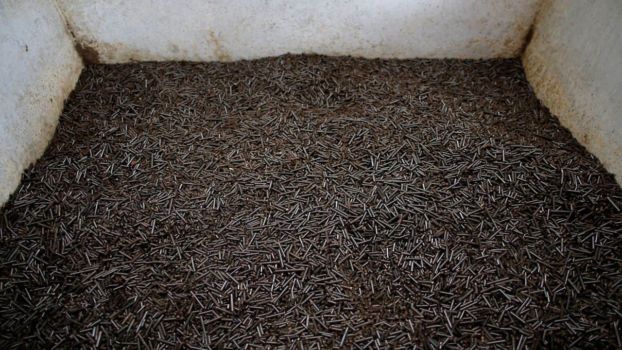 Govt temporarily eases mandate on biomass pellet co-firing in thermal power plants