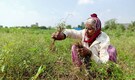 Rural India needs more than just easing of Covid-19 curbs