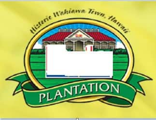 Q11. The company traces its origin to the 1851 establishment of Castle &amp; Cooke by missionaries Samuel Northrup Castle and Amos Starr Cooke. Castle &amp; Cooke rapidly became one of the largest companies in Hawaii, investing in shipping, railroad construction, sugar production and seafood packing. Today it is named for a different product. Name the company.
