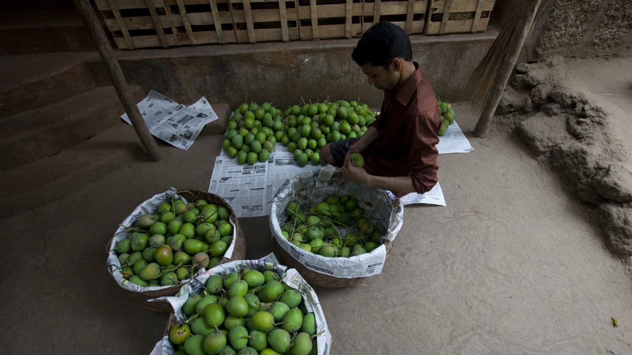 Coronavirus fallout: Fruit farmers stare at a loss of Rs 7,000 crore amid nationwide lockdown Coronavirus fallout: Fruit farmers stare at a loss of Rs 7,000 crore amid nationwide lockdown