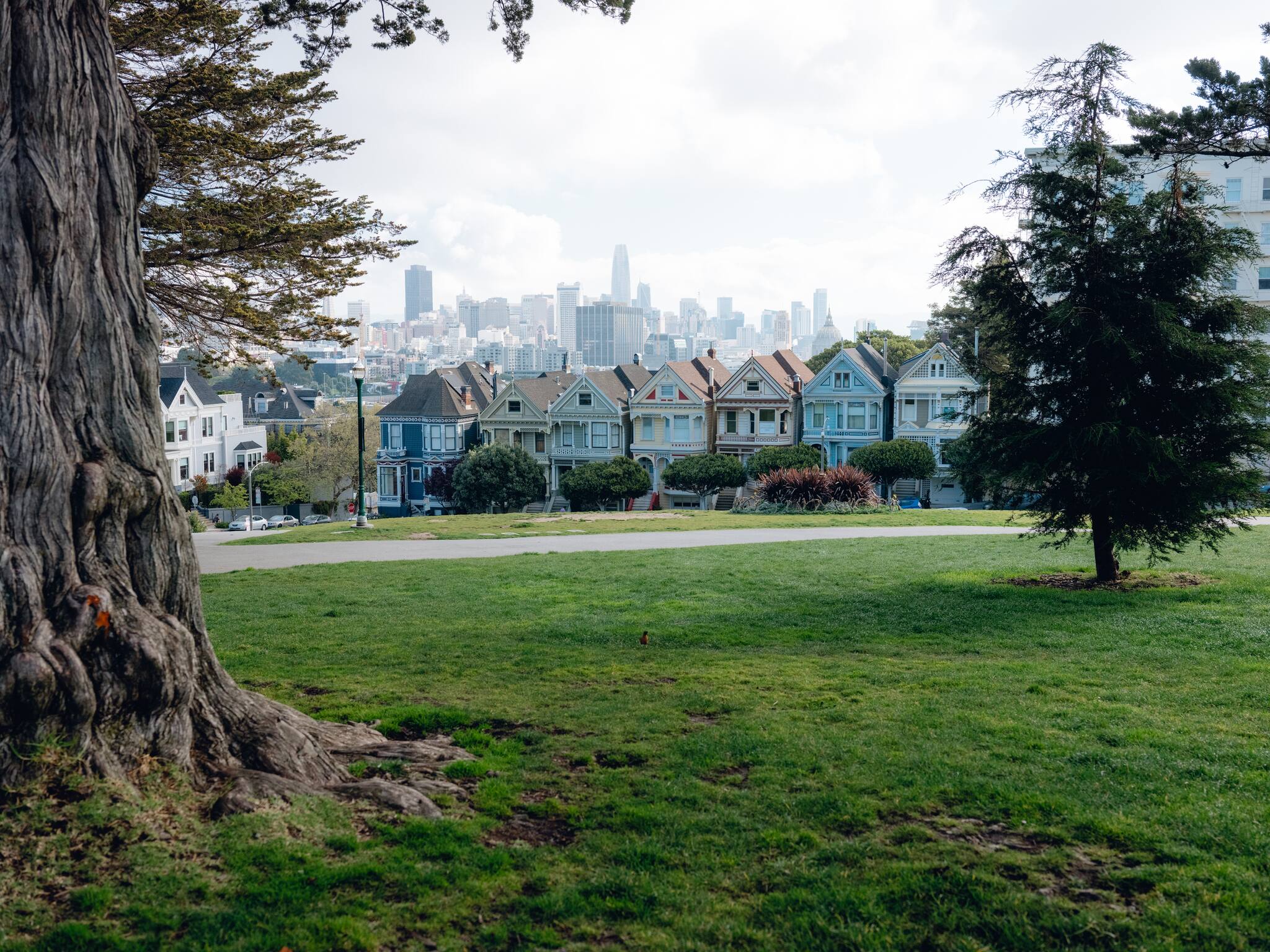 The Painted Ladies, a group of Victorian and Edwardian houses in San Francisco's Alamo Square Park, a popular tourist destination in San Francisco, March 19, 2020. (Rozette Rago/The New York Times