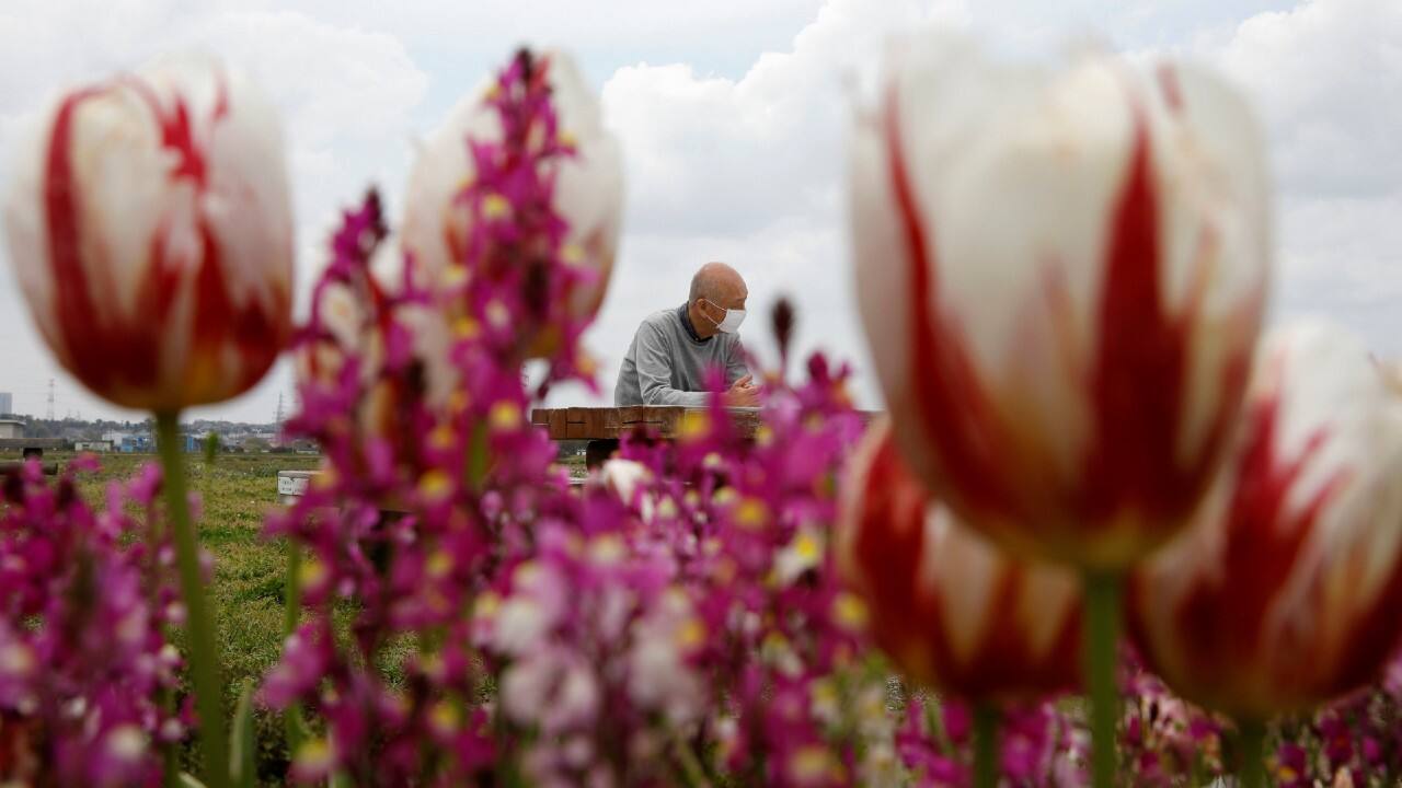 The move came in action after the park saw a large number of visitors in the weekend when the flowers were in bloom. (Image: Reuters)